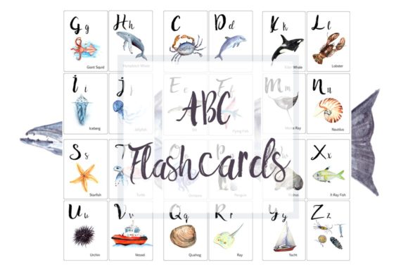 ABC Ocean Flashcards Banner & Illustrations