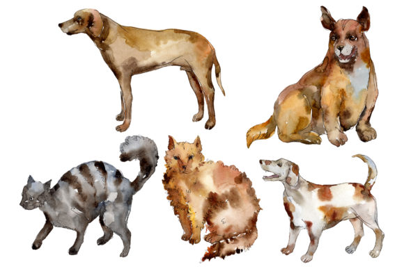 Agriculture Domestic Pets Cat Dogs Review
