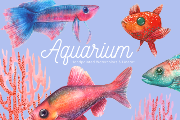 Aquarium - Illustration Set: A Designer Review