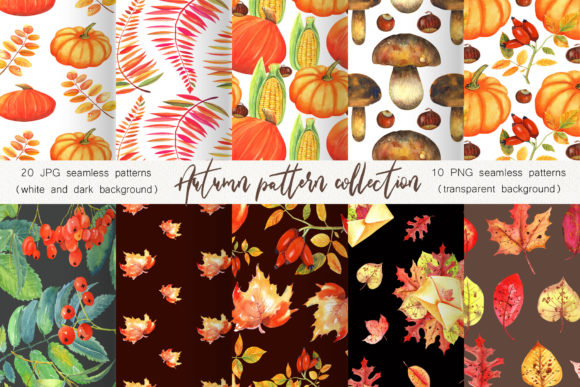 Autumn Pattern Collection: Illustrations Review