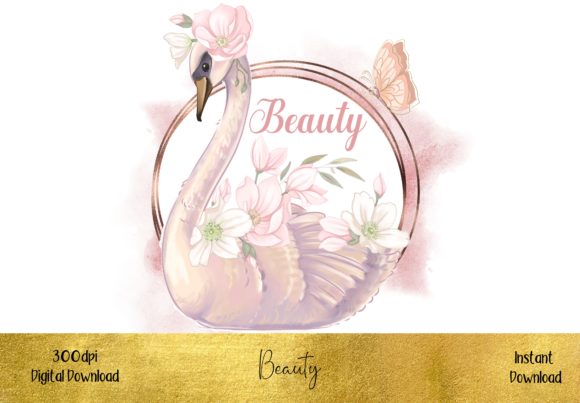 Beautiful Swan: Elegant Illustrations for Design