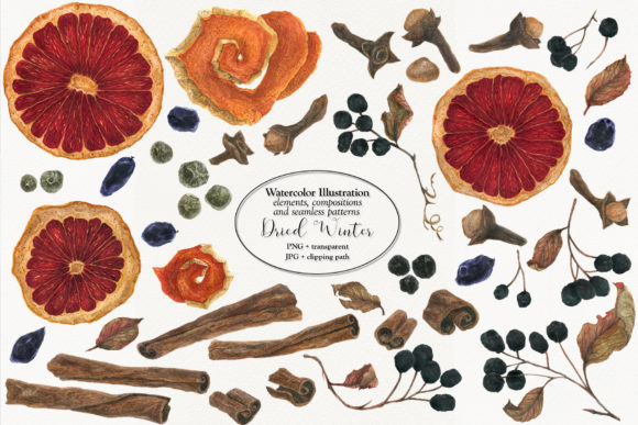 Dried Winter 1 Illustrations Review