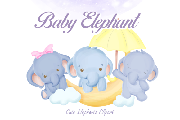 Elephant Clipart Collection: Illustrations Review
