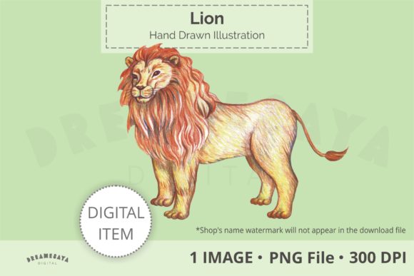 Hand Drawn Lion Png Clip Art & Illustrations