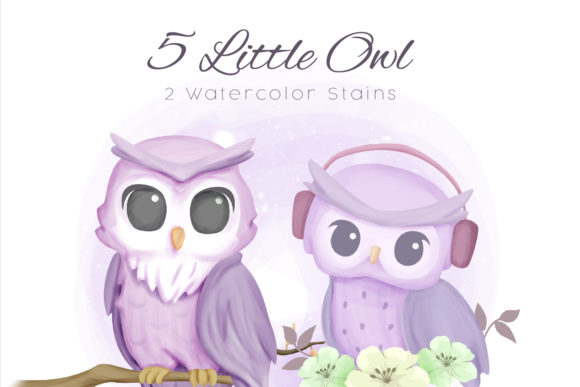 Little Owl Clipart and Illustrations Review