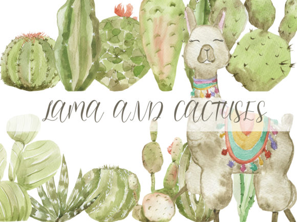 Llama and Cactuses: Playful Illustrations