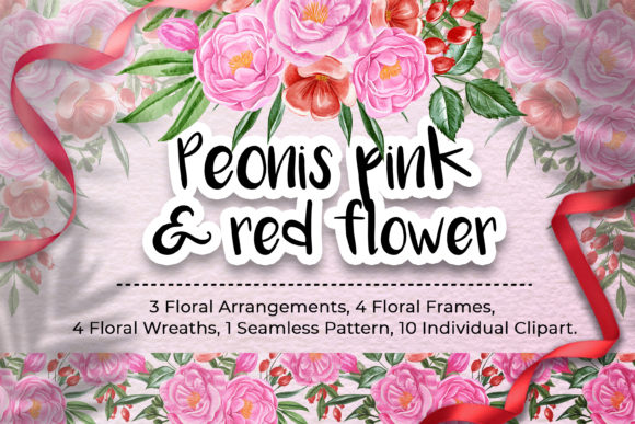 Peonies Pink and Red Flower Illustration Review