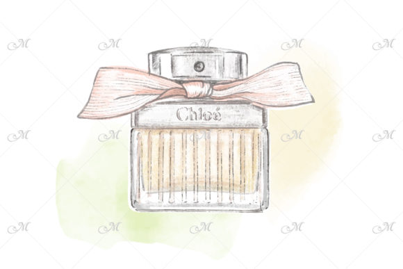 Perfume Bottle Hand Drawn Illustration Review