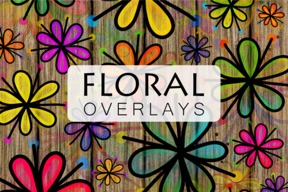 Pretty Doodle Daisy Flower Overlays & Illustrations