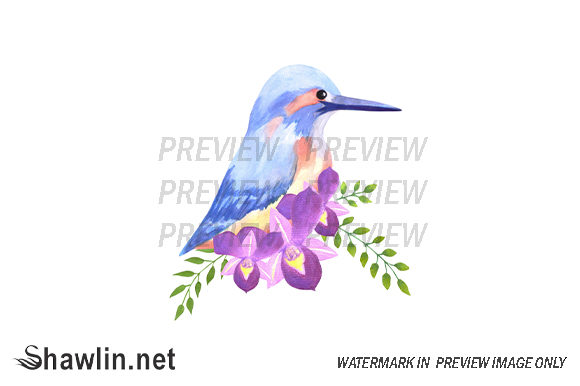 Purple Orchids and Kingfisher Illustrations Review