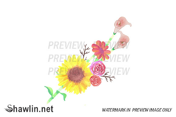 Sunflowers and Roses Illustrations Review