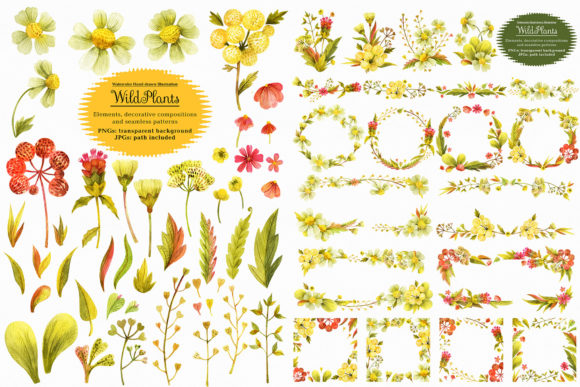 Wild Plants: A Designer's Real-World Review